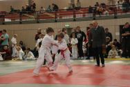 Judo Celina Rudolstadt  06.02.2016 205
